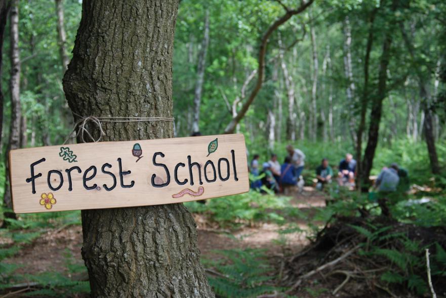 forest school 2 roydon wood fair 2013 by nat light 17